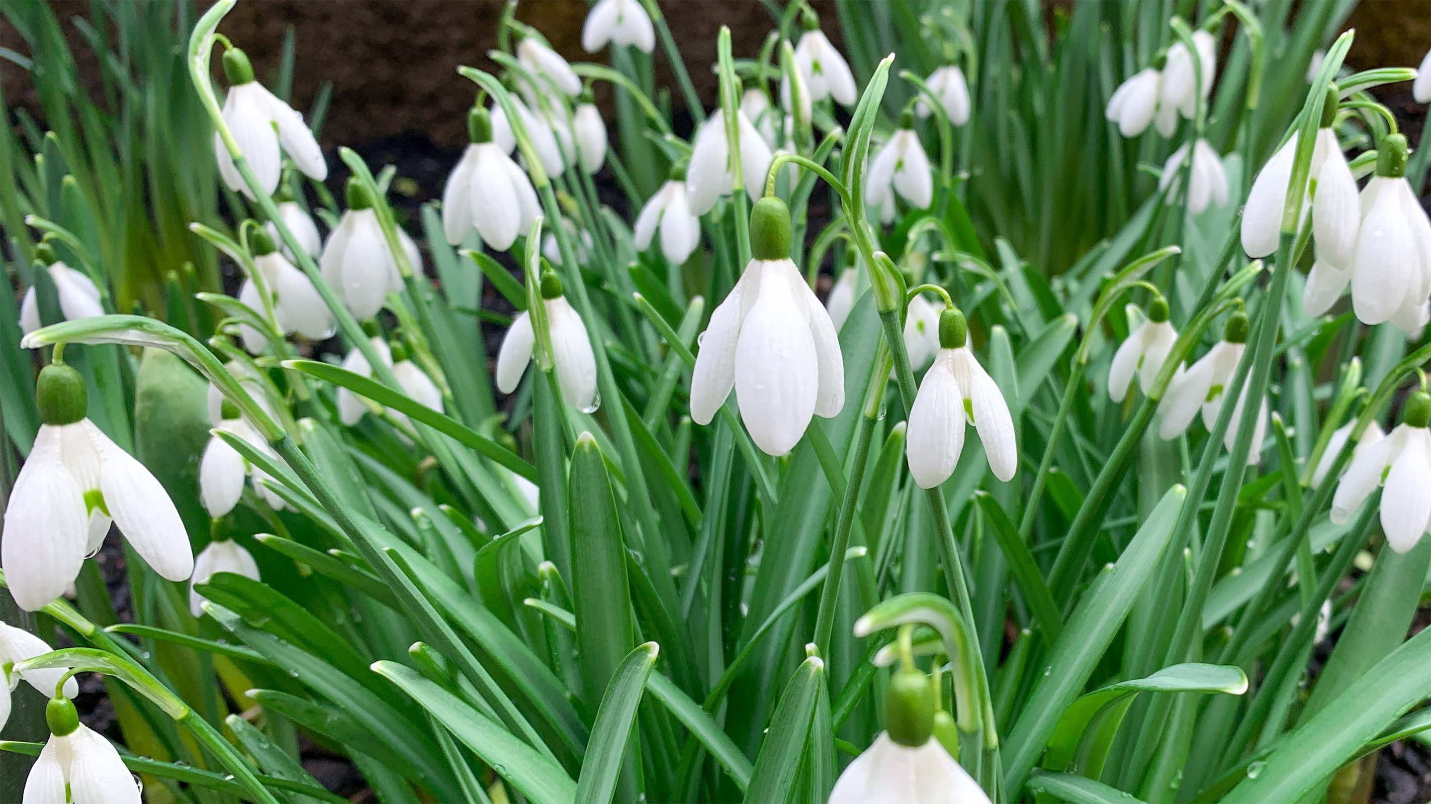 Ingen beskrivning tillgänglig