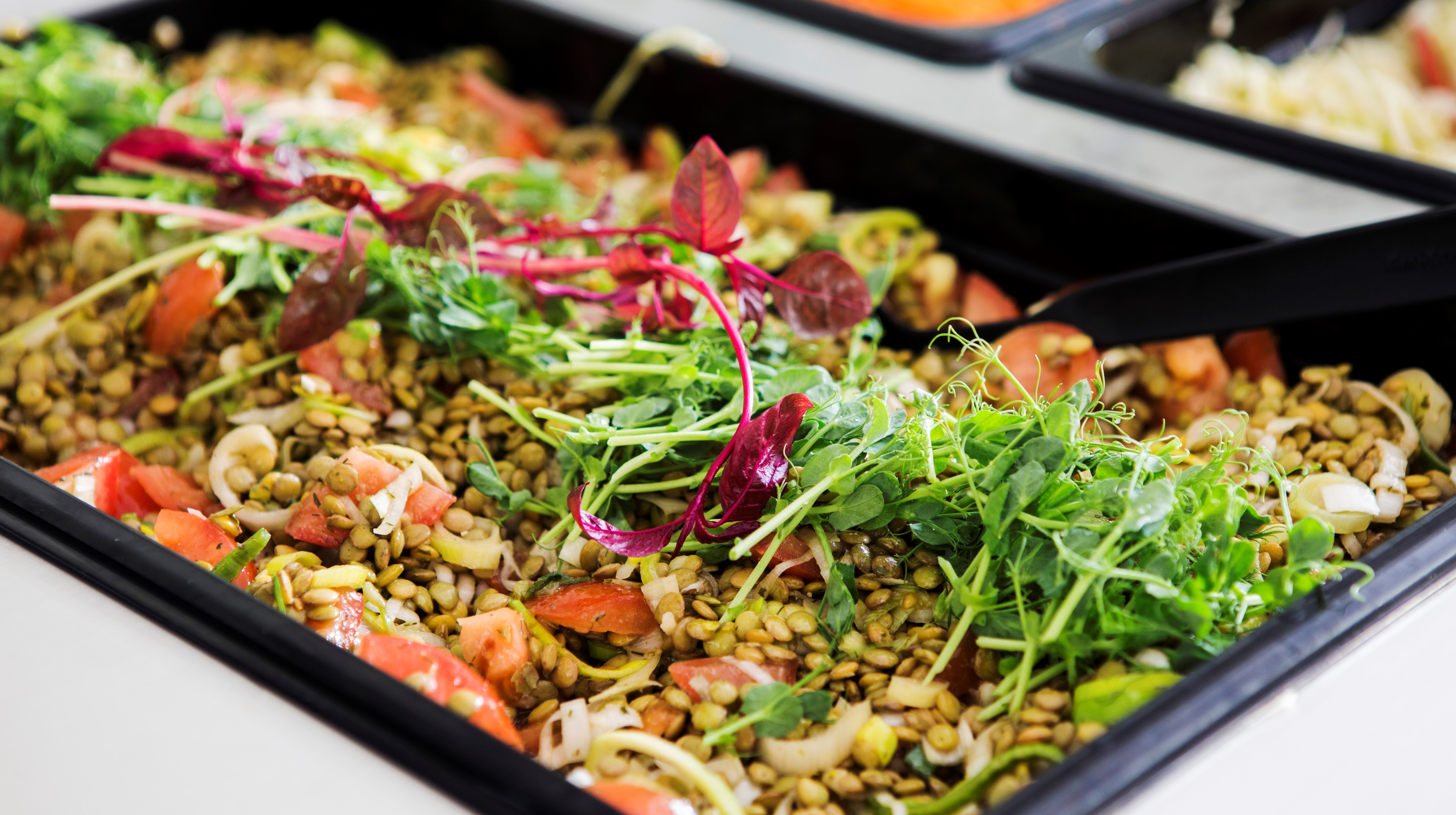 Ingen beskrivning tillgänglig